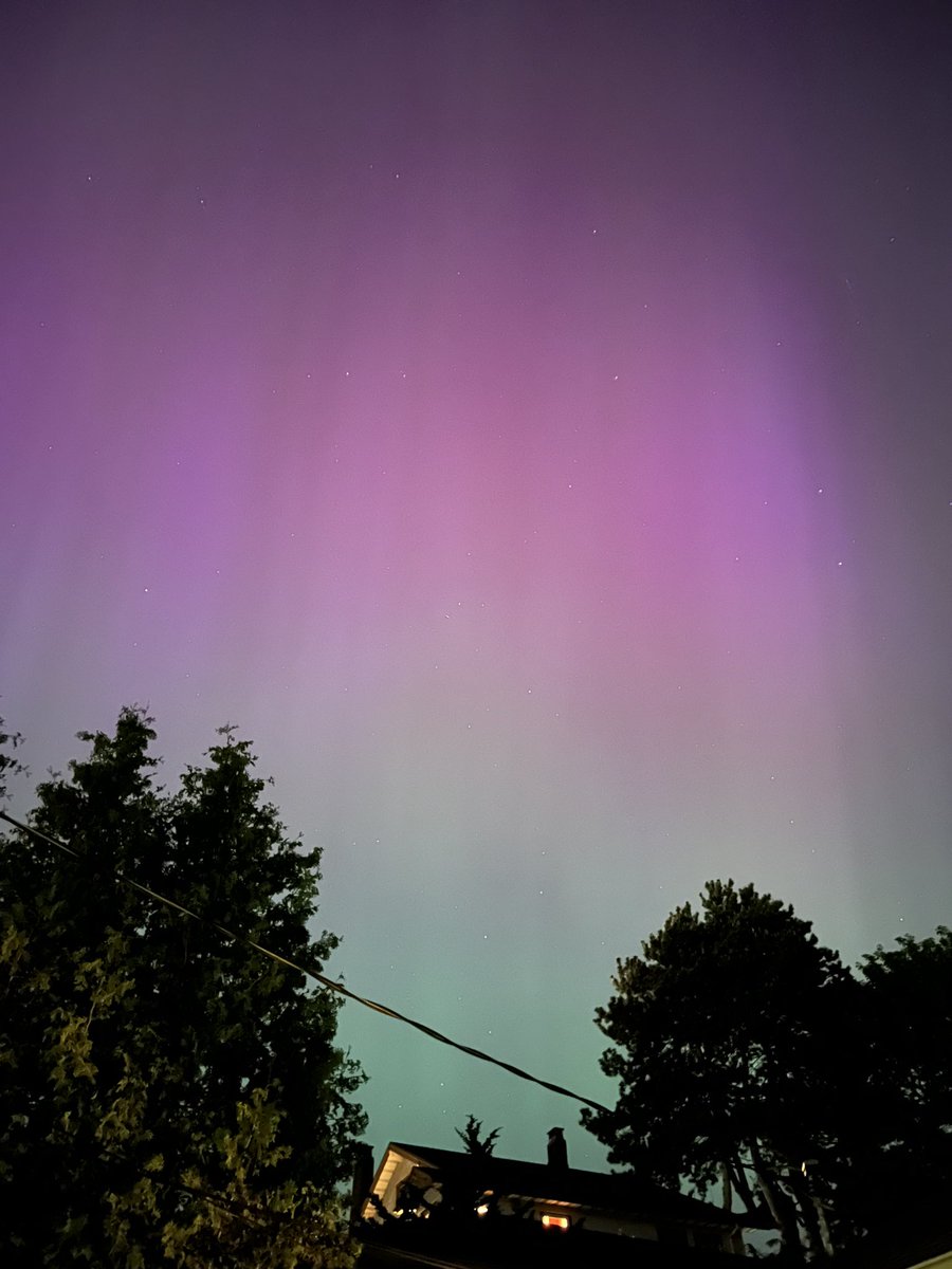 FunkCaptMax's tweet image. Nature is pretty incredible.