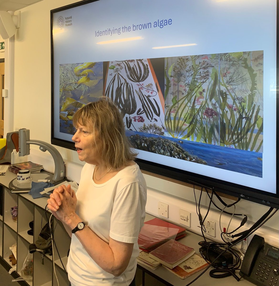 Jason Hall-Spencer (@jhallspencer) on Twitter photo Professors Juliet Brodie from <a href="/NHM_London/">Natural History Museum</a> and Chris Maggs sharing their immense knowledge of seaweeds with <a href="/PlymUni/">University of Plymouth</a> students on our annual <a href="/bps_algae/">The British Phycological Society</a> course Professors Juliet Brodie from <a href="/NHM_London/">Natural History Museum</a> and Chris Maggs sharing their immense knowledge of seaweeds with <a href="/PlymUni/">University of Plymouth</a> students on our annual <a href="/bps_algae/">The British Phycological Society</a> course
