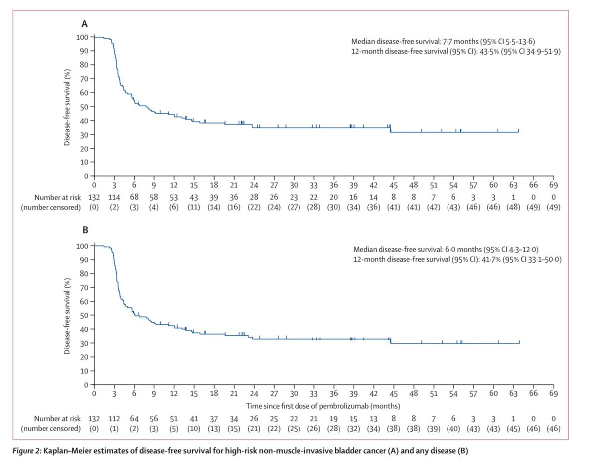 📬 Finally out in @TheLancetOncol the results from Cohort B of KN057 trial. Pembro in BCG-unresponsive papillary tumors w/out Cis. 43% 12m DFS adds a Rx piece to the literature. Now included in @NCCN guidelines. Congrats @UroDocAsh @PGrivasMDPhD & team! sciencedirect.com/science/articl…
