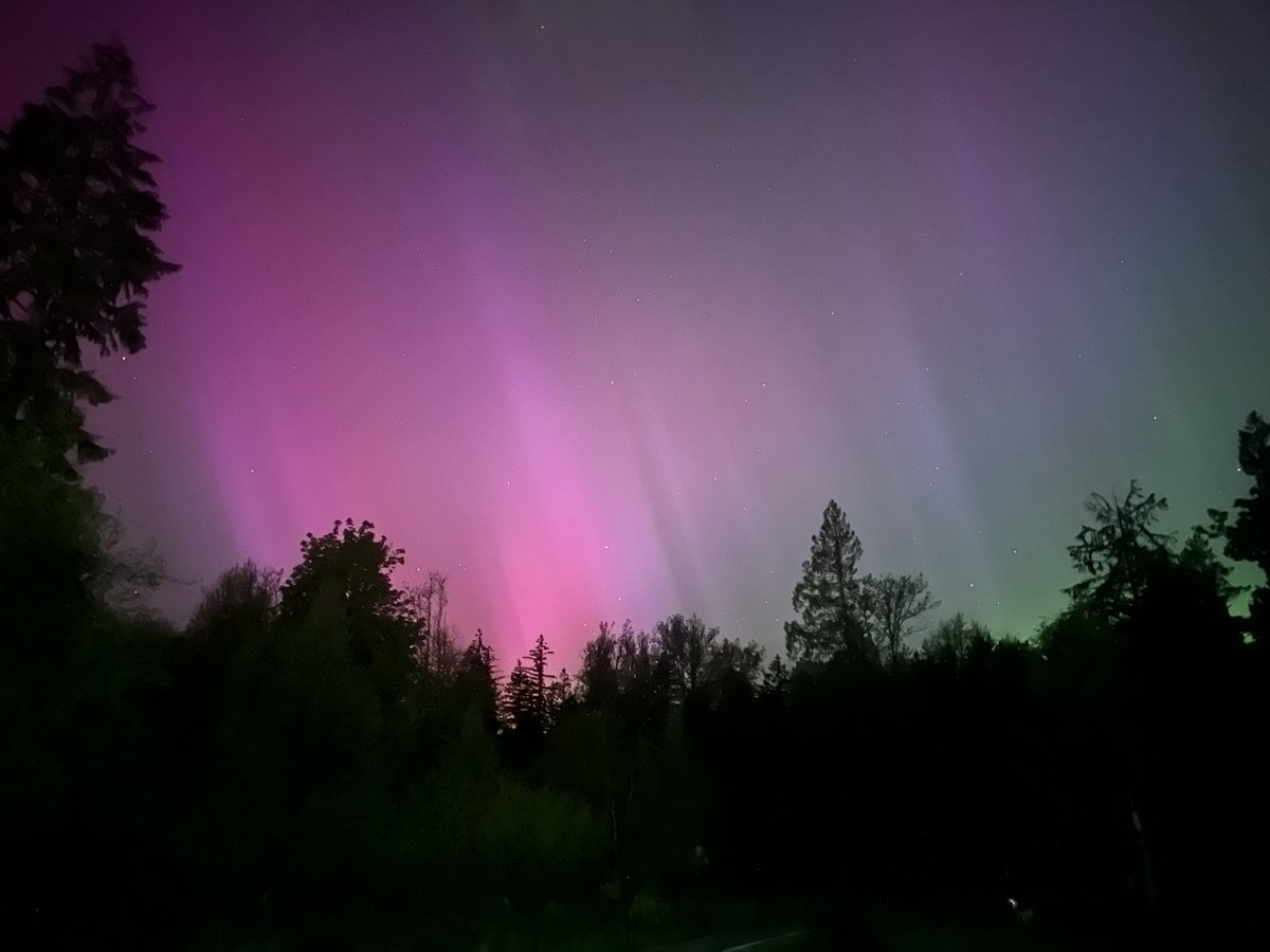 Carson Keller tweet media