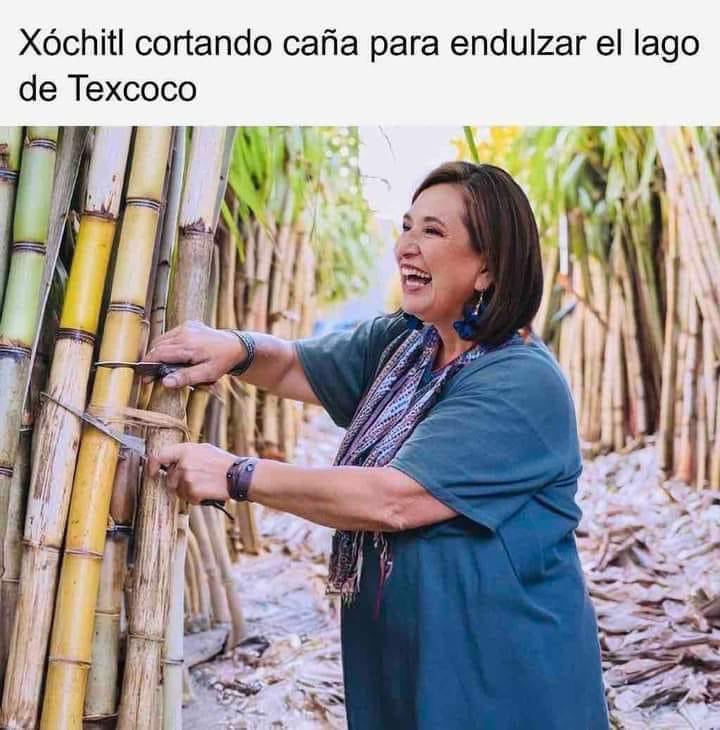 Vieja ridícula #XochitlCorrupta #NiUnVotoAlPRIANPRD2024 #ClaudiaPresidentaDeMexico2024