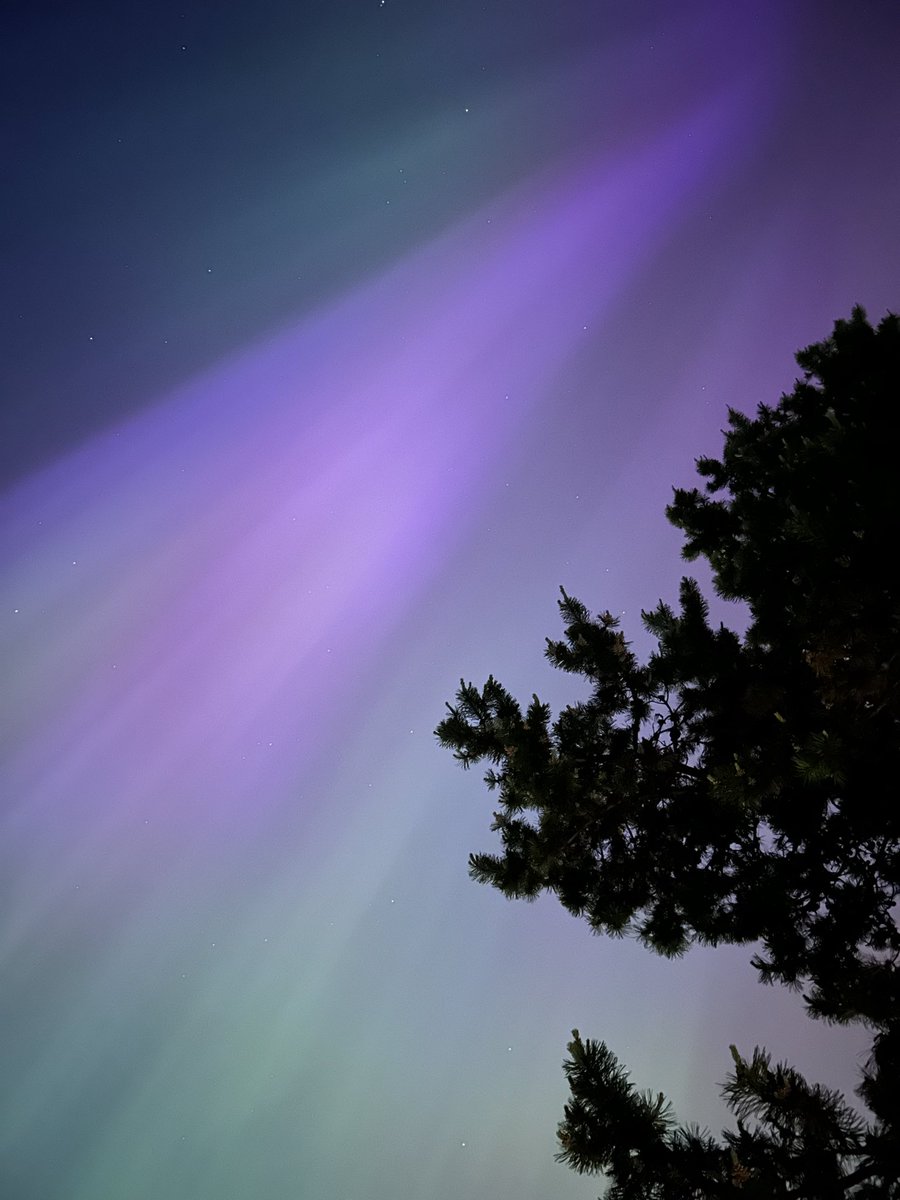 TysonJerry's tweet photo. My god that was phenomenal #Auroraborealis localized entirely within #YVR https://t.co/mMBILogguL