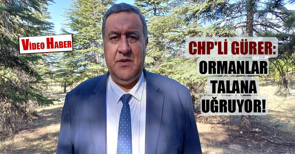 CHP’li Gürer: Ormanlar talana uğruyor! @fethigurer halkinhabercisi.com/chpli-gurer-or…