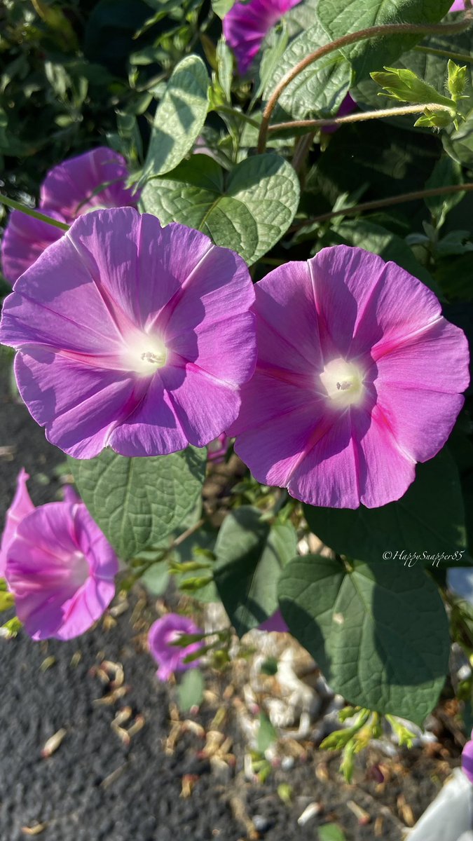 Happy weekend, everyone ☀️