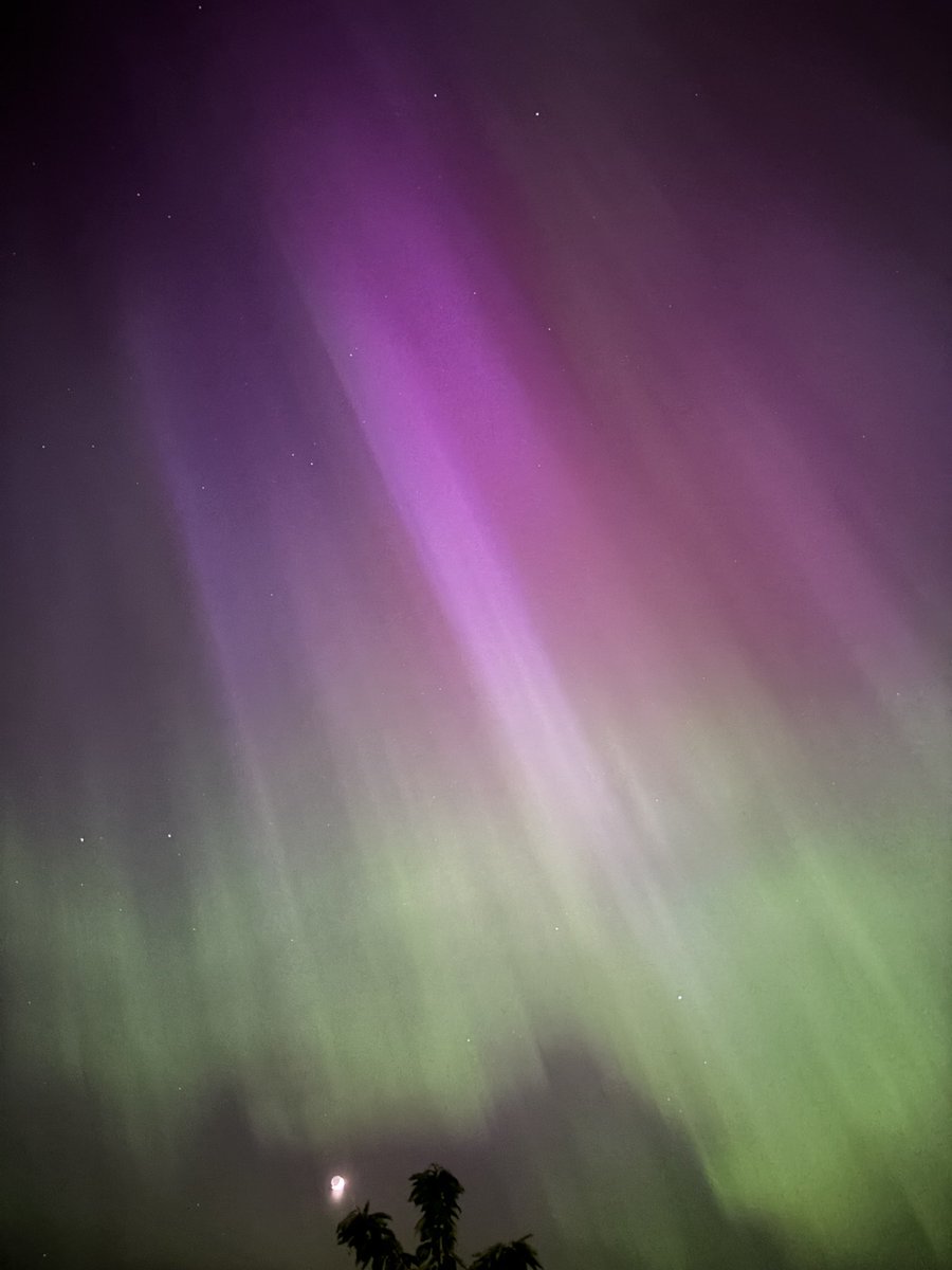 SamChande's tweet image. Adding my photos for the record. #Auroraborealis #NorthernLights #solarstorm #vancouverisland