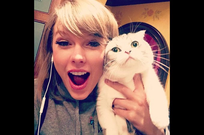 If you've had a bad week, Taylor Swift and her pet cat, Suzuki, hope you can shake it off and wish you a very happy #Caturday