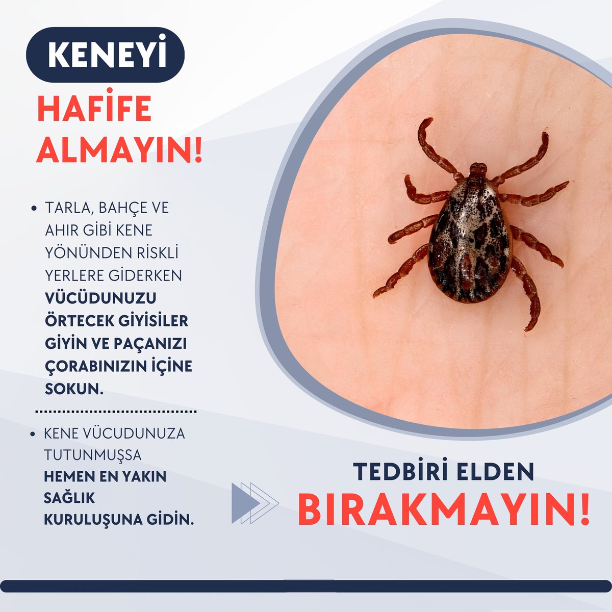 Keneyi hafife almayın, tedbiri elden bırakmayın.