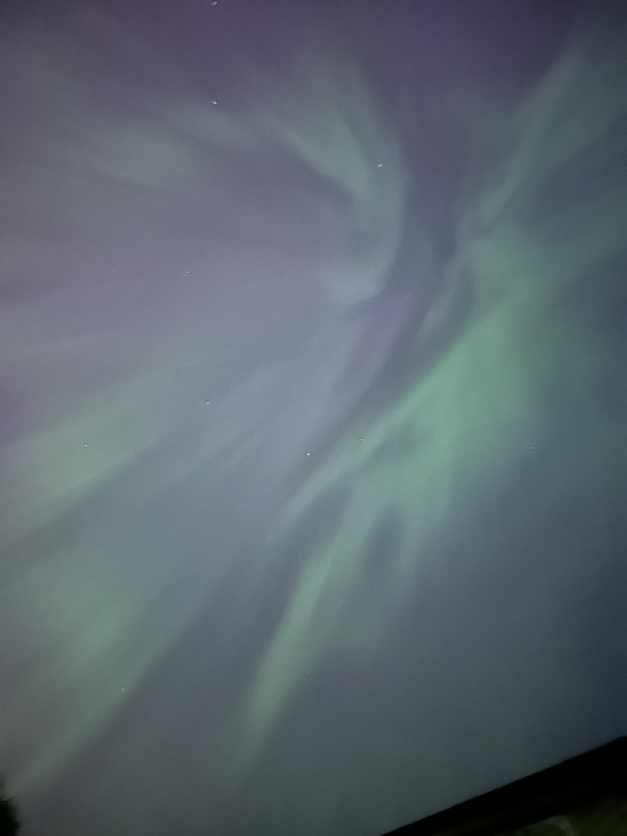 Lisa Ochsner 🍁 tweet media