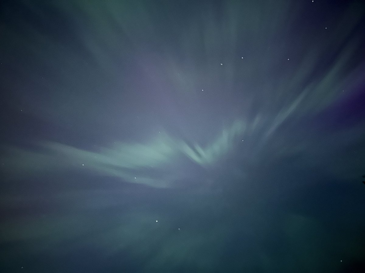 Aurora with the stars ✨