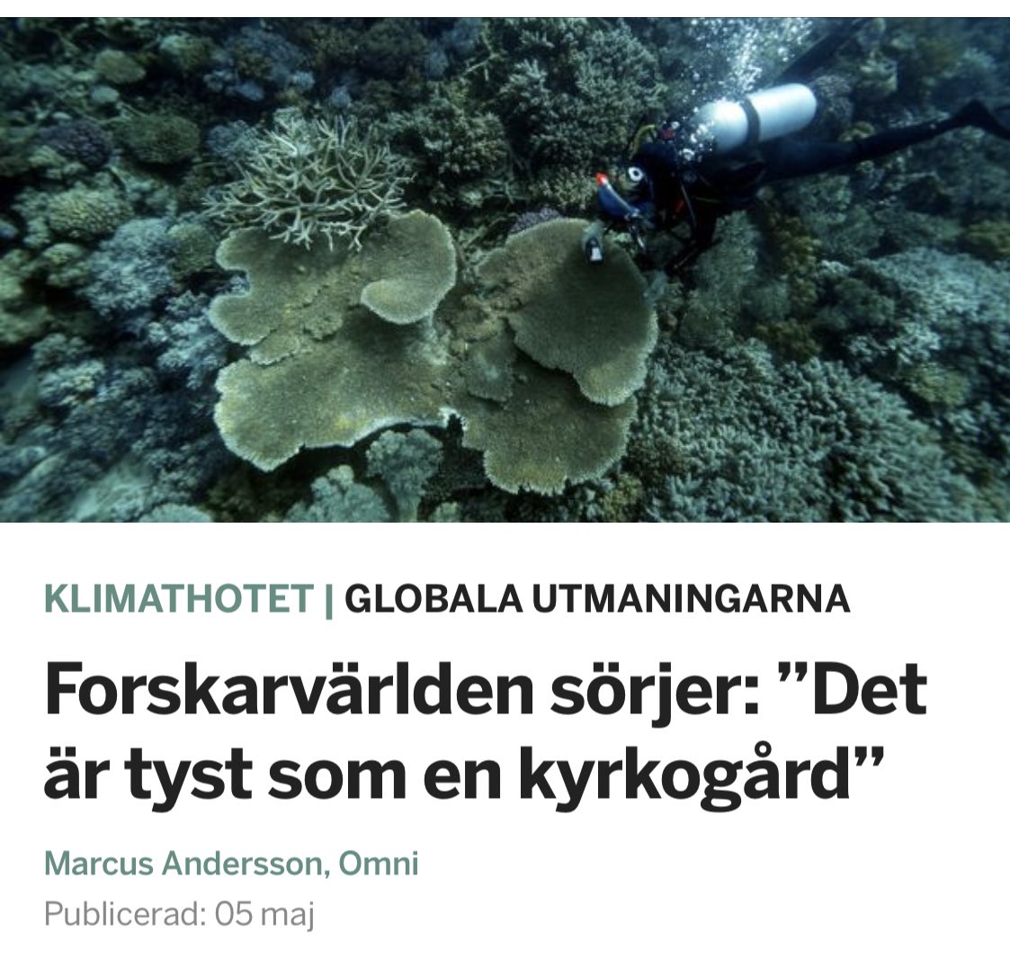 Stora barriärrevet har genomlevt den värsta sommaren hittills. Våra koldioxidutsläpp gör att korallerna bleknar och dör. Om temperaturen stiger med 2 °C till 2050 kommer 99% av världens korallrev att dö. Nuvarande klimatpolitik värmer världen med 3 °C 

omni.se/a/0VE6Bo