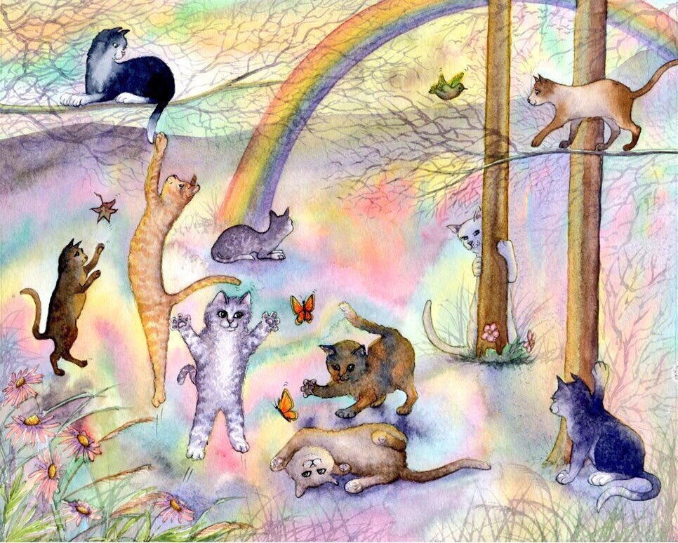 @landscape28 R.I.P Chef Anton 🐾💔🐾 The #Hedgewatch #CatsOfTwitter has lost one of its bravest soldiers in the saddest way 😿 May your light shine furever from #OTRB 🌈😻💖🌟 #Pawcircle from Princess Betty to greet mew 🐾