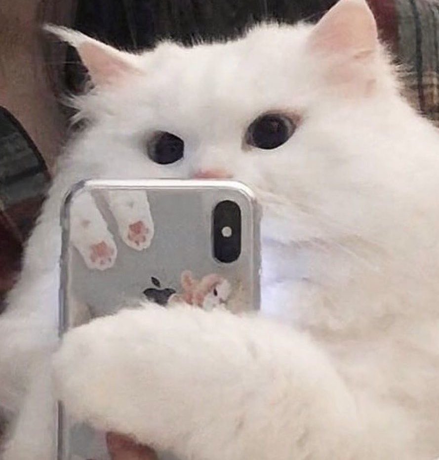 ᴋᴍ.✿ (@fallinkmm) on Twitter photo 