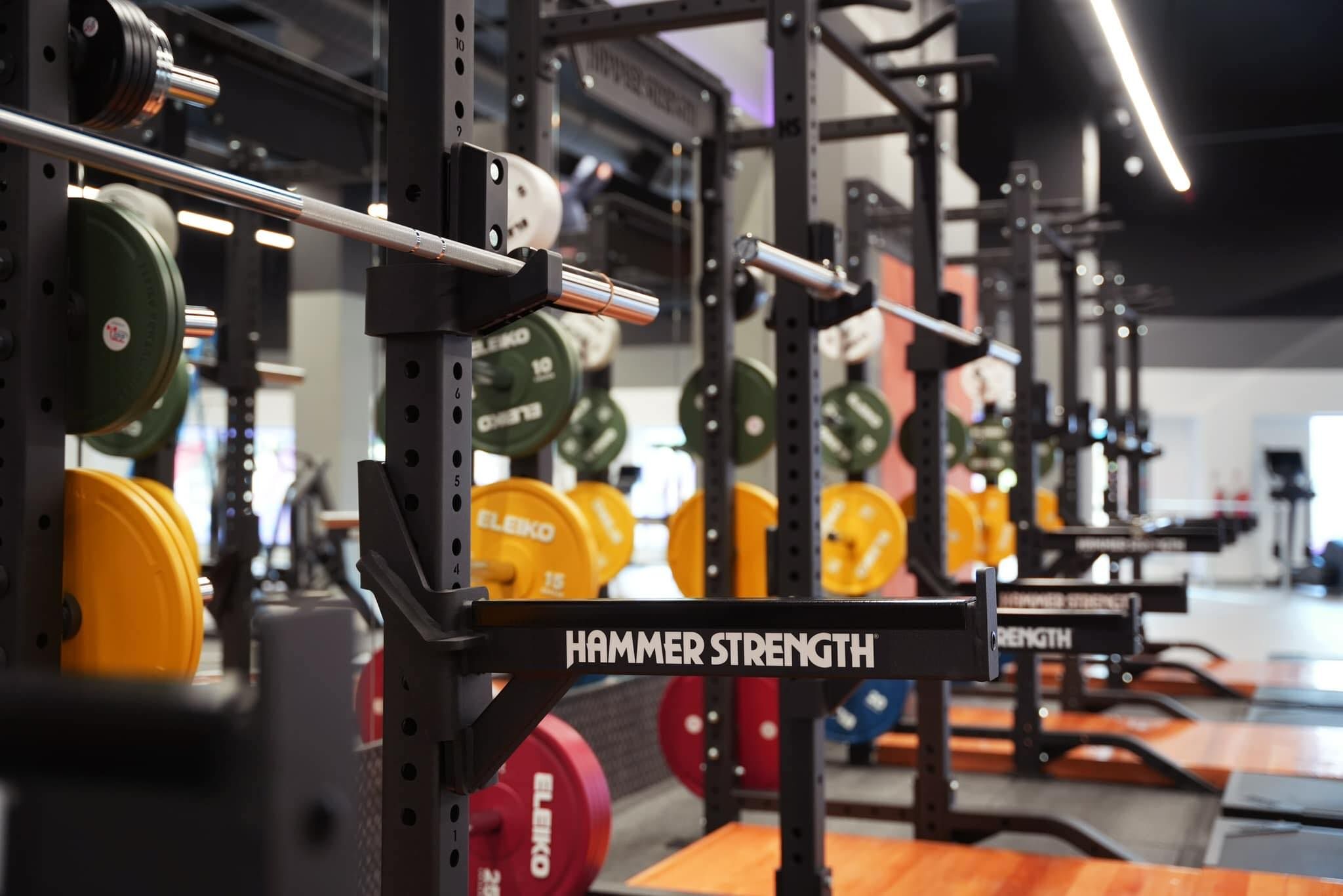 Hammer strength usa hotsell