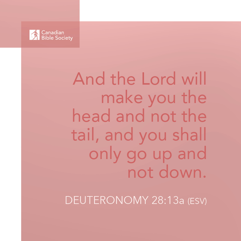 “And the Lord will make you the head and not the tail, and you shall only go up and not down.” DEUTERONOMY 28:13a (ESV) #bibleversedaily #bibleverses #bibleverseoftheday #versesfromthebible #biblestudy_verses #bibledailyverse #dailybiblereading #mydailybibleverse