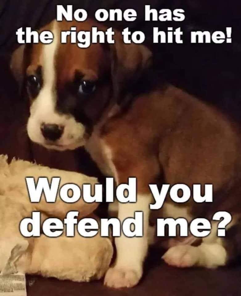Would you defend me ?