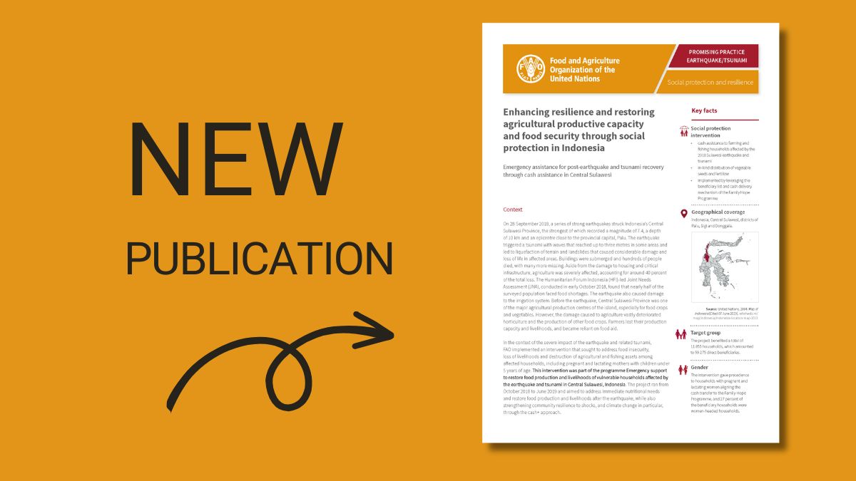 🆕New in the library📚 Following the 2018 earthquakes in Indonesia, the agricultural sector had the most damage. @FAO provided cash aid, seeds & fertilizer to farming & fishing households. This fact sheet highlights the success of this initiative. 👀 👉 calp.net/3z5hEJy