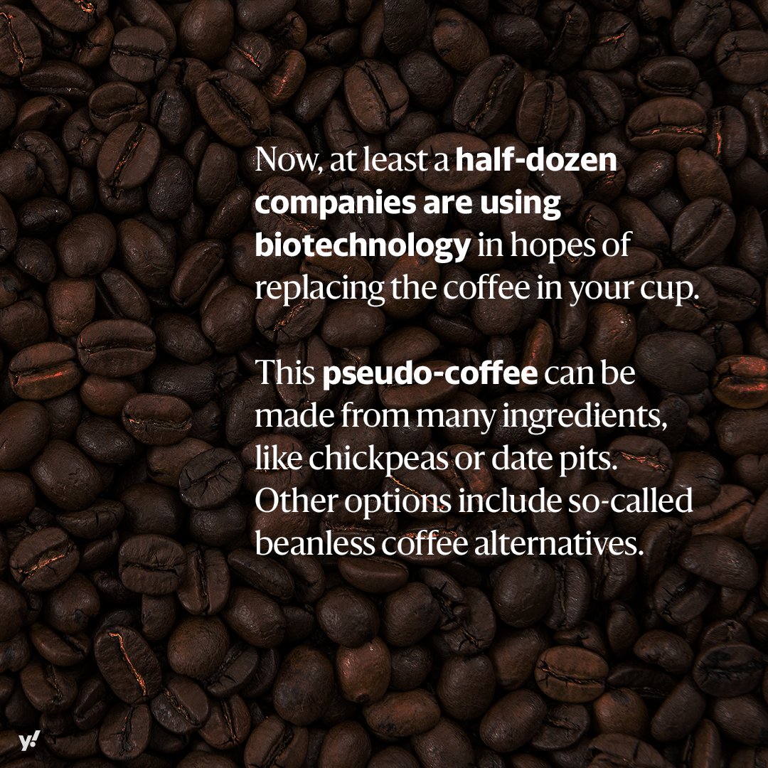 Your morning cup of coffee is a social and environmental disaster — contributing to mass deforestation, poor wages for farmers and substantial carbon emissions. But you could soon have the option to sip on something less harmful: synthetic coffee. yhoo.it/3QvtQwf