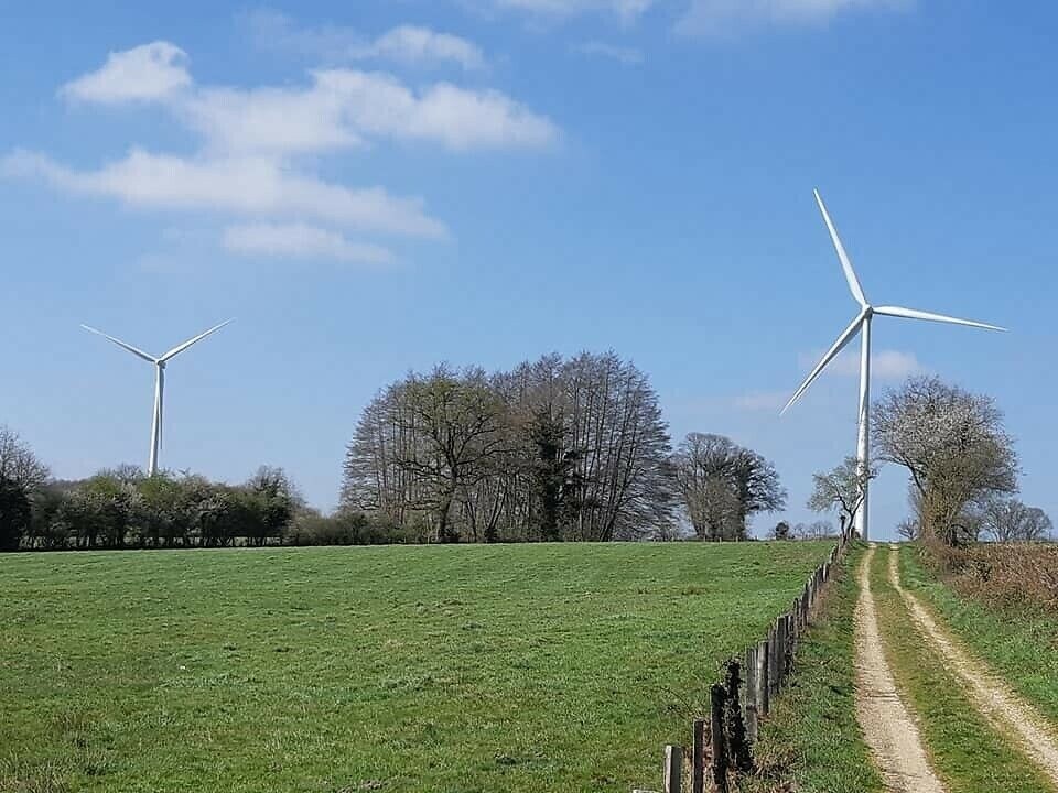L'association Pionnat vents Libres s'inquiète d'un projet de parc éolien sur les communes de Pionnat et Cressat au coeur de la Creuse. ➡️ l.francebleu.fr/DDzp
