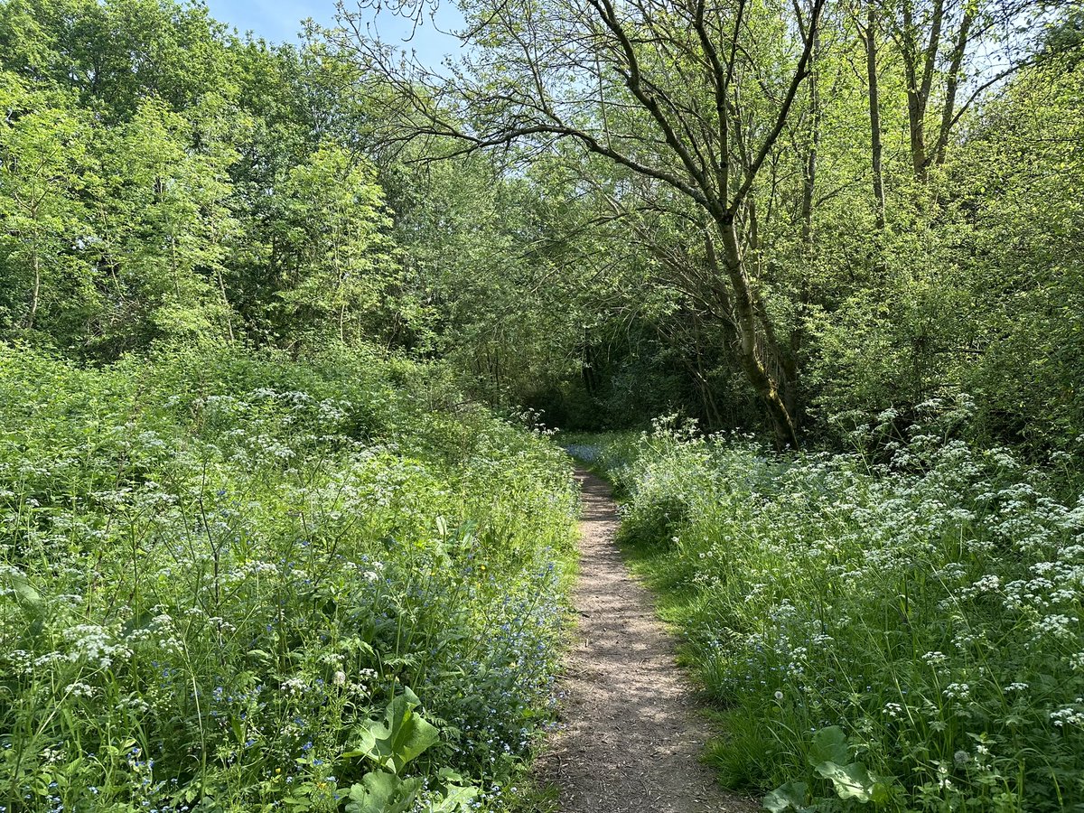 Some quick snaps from my run home today: