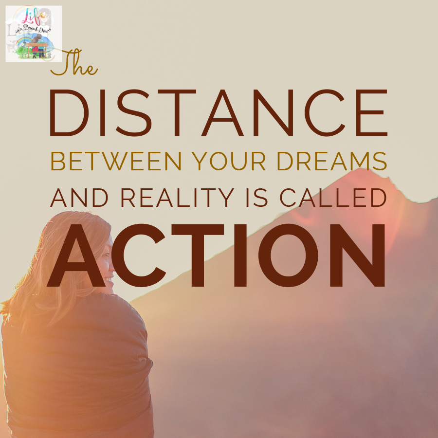 The distance between your dreams and reality is called action. #quote #quoteoftheday