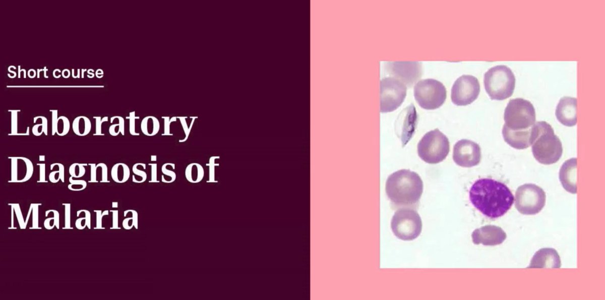 🔬🦟 Short intensive course by @LSHTM_malaria on 'Laboratory Diagnosis of Malaria' Aimed primarily at haematologists and others involved in the laboratory identification of human malaria. 📌London, 24-26 Jun Apply by 1 Jun: ow.ly/rzf850RzzN9