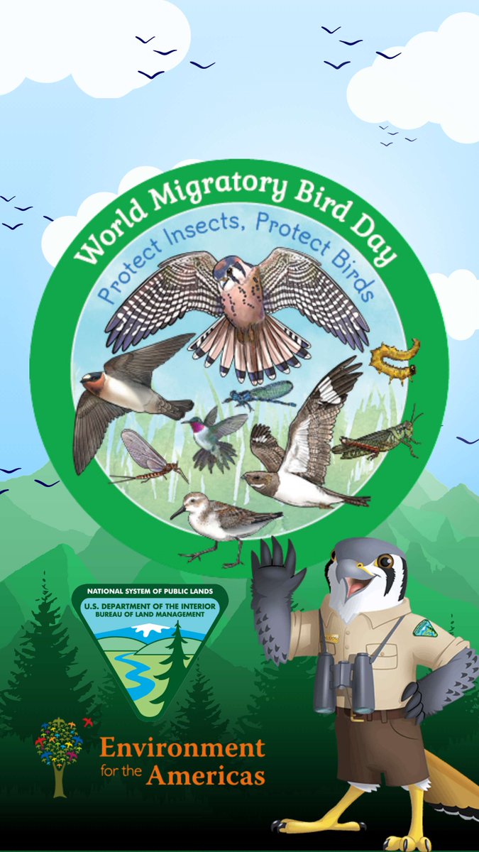 Join us on a mission to celebrate & protect migratory birds. Download free Agents of Discovery app to play the new 'Celebrate Migratory Birds Mission' and help us protect the birds, insects, & public lands they call home ➡️ ow.ly/CgHm50RzOgl. #WorldMigratoryBirdDay @WMBD