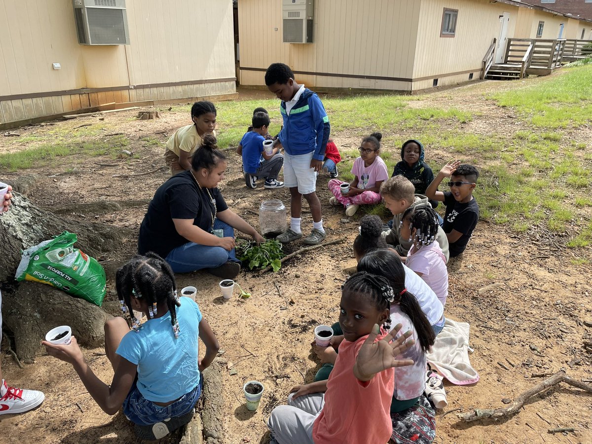 Ms. Cook’s 1st graders let their pumpkin decompose in the jar, and then they observed as it germinated its own seeds. Today they each got to take a clipping to continue to grow their own pumpkin! @ConeCougars @KesandraFarmer #ChartYourCourse