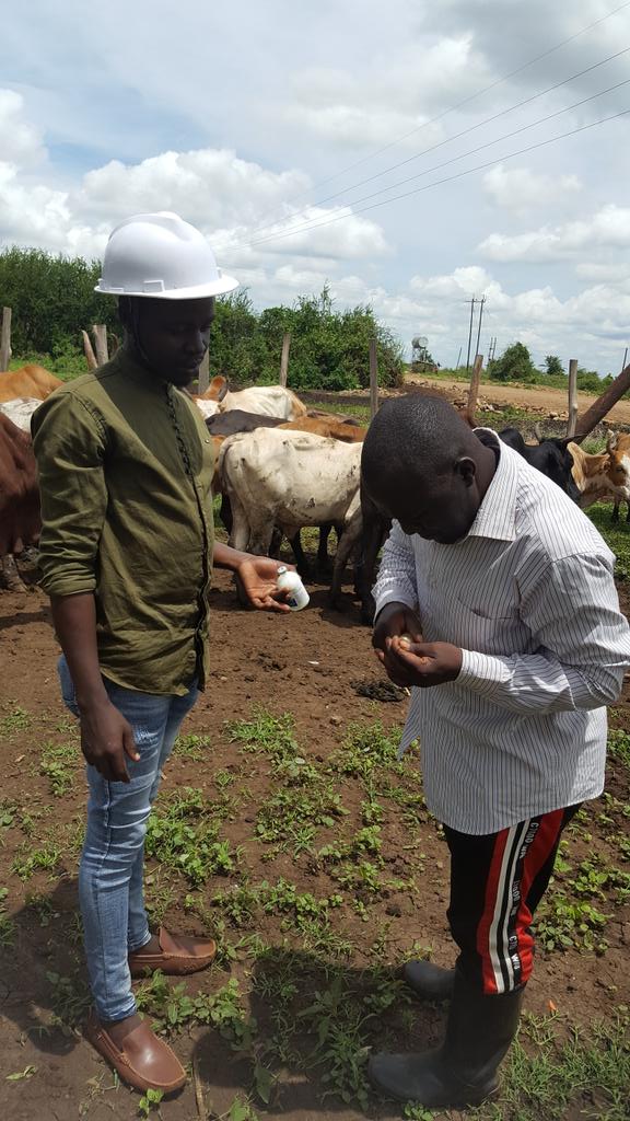 If you love animals, you love God's creation too....tracking down the welfare of our animals,
let's get this done together... 
@Ugveterinarians
@GombaNextGMFarm