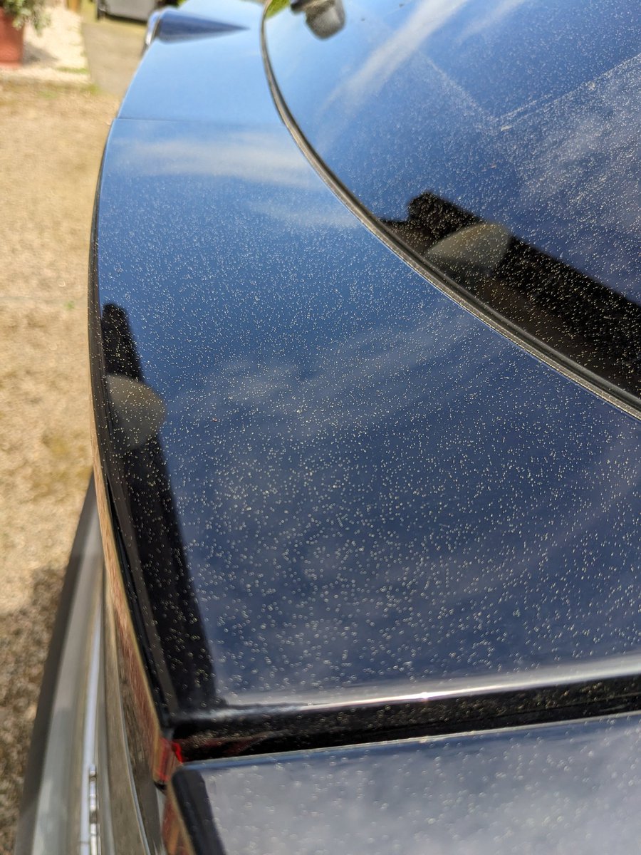 Look at the amount of rapeseed pollen on my car 😱. The village stinks of it. 🤧.