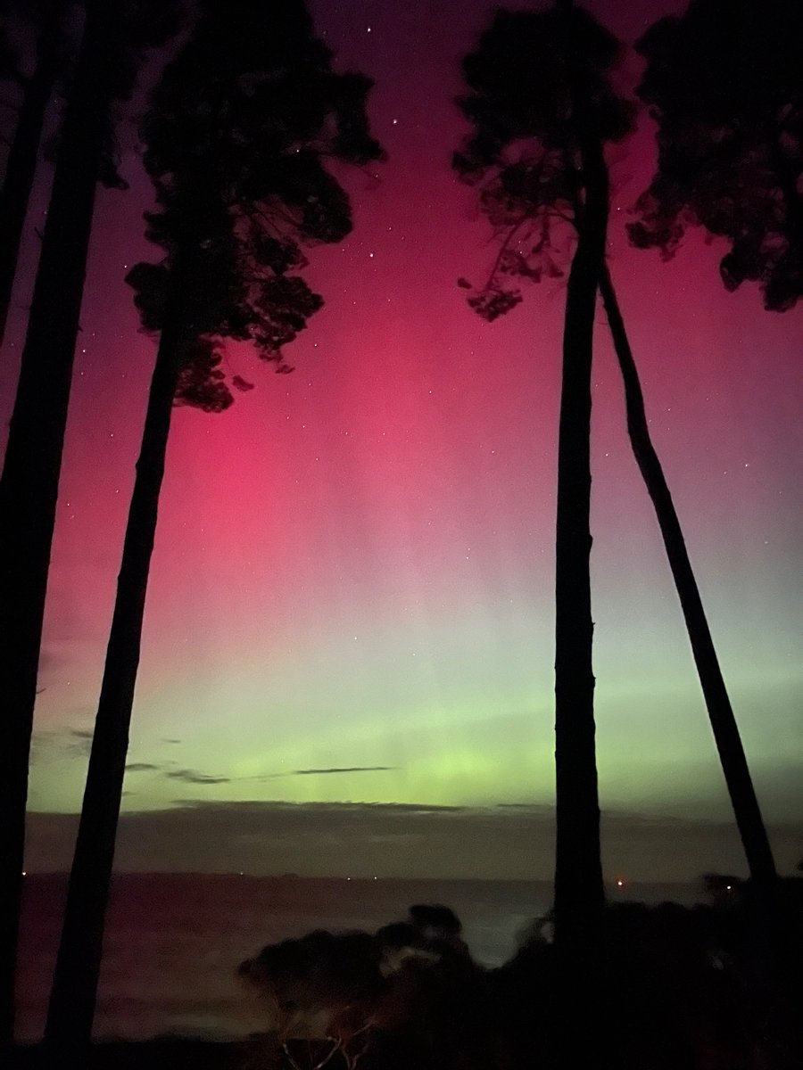 Simon Griffiths tweet media