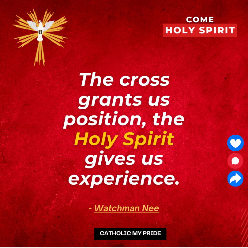 pride_cath68034's tweet photo. Come Holy Spirit fill the hearts of the faithful, and enkindle in them a fire of love. Sent forth Your Spirit and They shall be created, and they shall renew the face of the earth.
#novenatotheholyspirit #catholicmypride #holyspiritnovena #holyspiritnovenaprayer https://t.co/olJWH3nA0x