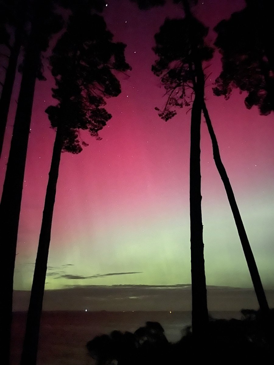 Simon Griffiths tweet media