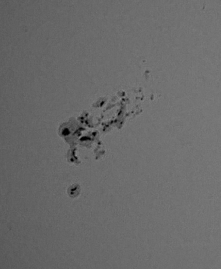 ahmed_axc's tweet image. #SolarFlare #sunspots #sunstorm #solarflares  #AR3664