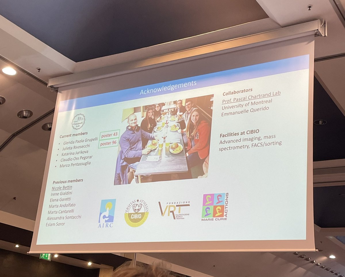 Glenda Grupelli tweet media