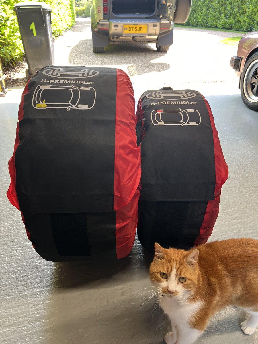 2023 Porsche 992 GTS v 1988 Porsche 3.2 Carrera rear wheel. 😳 ….plus a ginger cat. 🐈