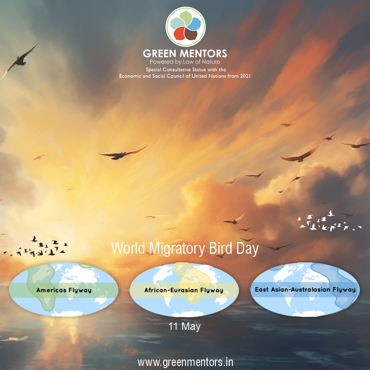 Green_Mentors's tweet image. World Migratory Bird Day is a global campaign that educates and promotes conservation efforts for migratory birds and their journeys across borders.
#WorldMigratoryBirdDayBird Day
#SaveBirds
#saveinsects
@followers