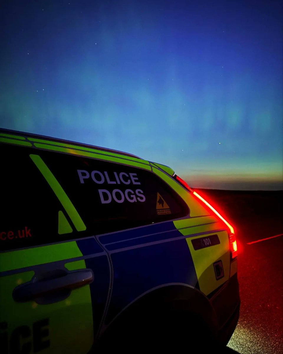 Did you see the Northern lights last night? Our General Purpose Dog PD Chase and his handler managed to catch a glimpse while working a night shift! But, that's not all they caught! PD Chase also detained a man in Barnsley on suspicion of firearms and stalking offences 🚔