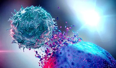 Revolutionary mRNA Cancer Vaccine Shows Immense Promise in First-Ever Human Clinical Trial nanoappsmedical.com/revolutionary-… cc. @tantriclens @HeinzVHoenen @cellrepair777