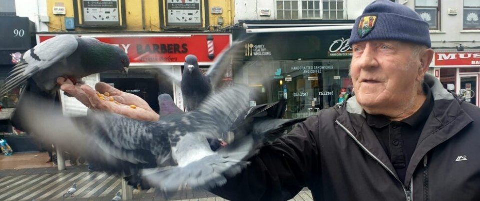 RIP FRANKIE THE BIRD MAN - Frank Flaherty along with his dog Dripsey regularly fed the pigeons in Daunt square. A true Cork character gone. May he Rest In Peace.
