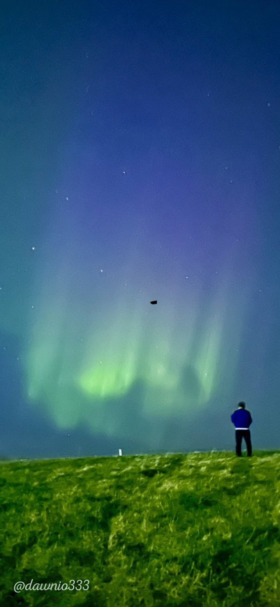 dawnio's tweet photo. Aurora Winnipeg https://t.co/rWIjp5m7y0