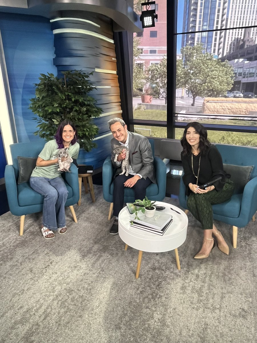 Ruff Start was on @wcco yesterday for #ForeverHomeFriday! We introduced adoptable Dolly and her adorable kittens, while discussing our Mom & Me program and today’s Tails and Trails walk. 🐶 View the segment: cbsnews.com/minnesota/vide…