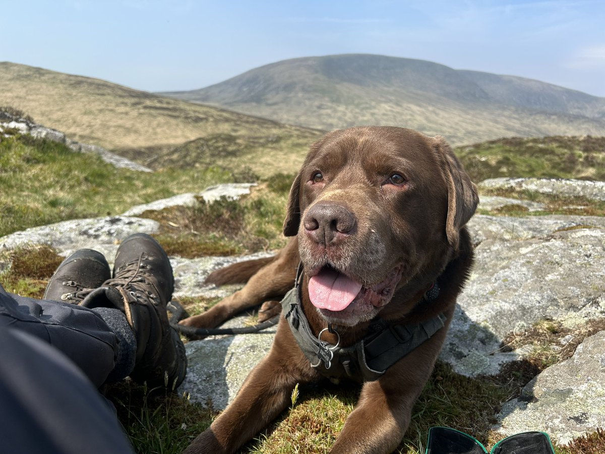 Saturdays bait stop on the Clint’s of Dromore with fine views over to Cairnsmore of Fleet 🐕 🥾 🥾