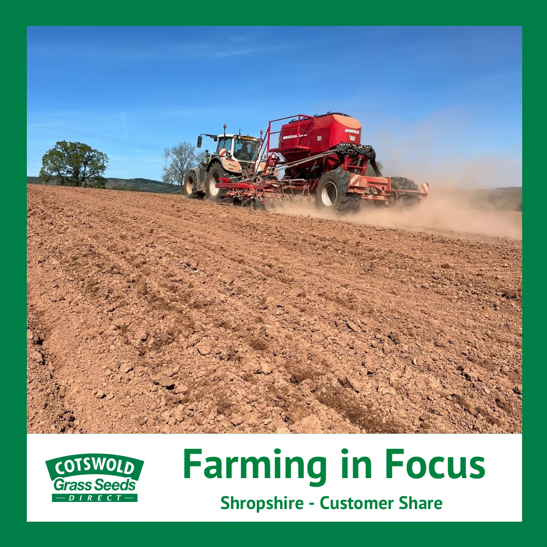 Best view in the world 🚜🌱 This customer is sowing SFI Legume Fallow in the sunshine near Ludlow, Shropshire 🤩. Conditions are perfect, so roller man will be in the field asap! 🎉 #cotswoldseeds #sfisowing #farminguk #ukag #regenag #herballey #sustainablefarming #regenfarming