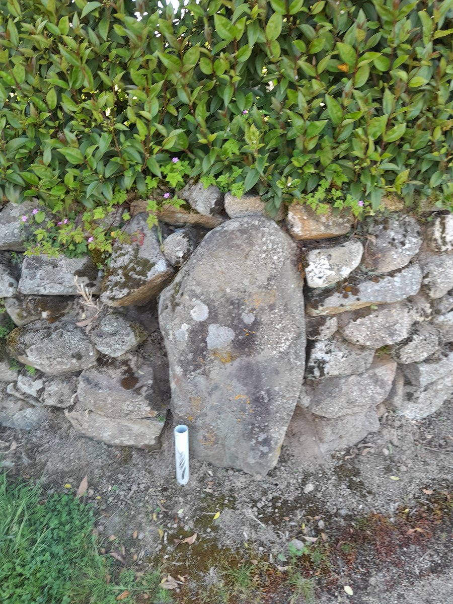 Foz750F's tweet photo. Really interesting stones integrated into a garden wall, evenly spaced 6 in total. In La Bazoge-Montpinçon 53
#SaturdayStones
@the_stone_club 
@megportal https://t.co/fkzuG6p45c