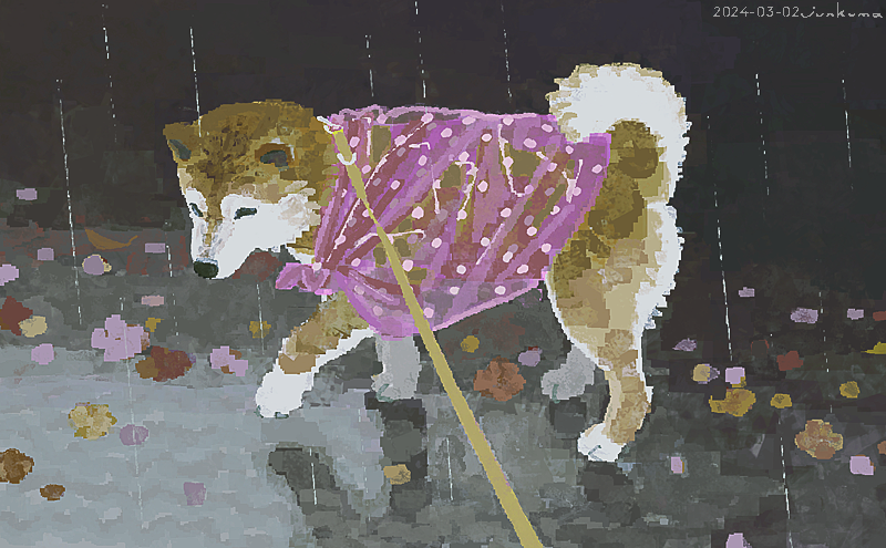 即席おしゃれ合羽