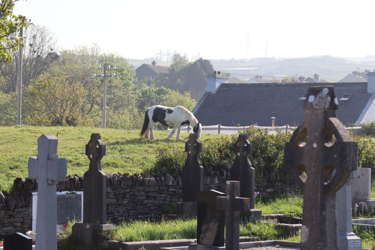 BM Malone (@bduffma) on Twitter photo #200daysofwalking #round4crew a glorious Saturday morning in the #Burren, #Ennistymon <a href="/Fallshotel/">Falls Hotel & Spa</a> basking in a haze of sunshine. #StaySafe #200daysofwalking #round4crew a glorious Saturday morning in the #Burren, #Ennistymon <a href="/Fallshotel/">Falls Hotel & Spa</a> basking in a haze of sunshine. #StaySafe