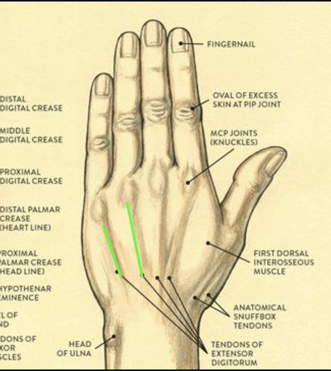 Noob golfer hand pain - things to try? fogolf.com/723855/noob-go… #GolfTips