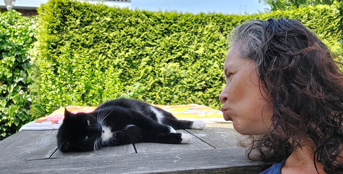 M1Kamphuis's tweet photo. Weer thuis!
Met poes onder de parasol. Na een vlotte vlucht gister,  bijna een uur eerder geland #windmee
En wat kan het toch mooi zijn hoog boven de wolken🌈 https://t.co/h3Y4v5931P