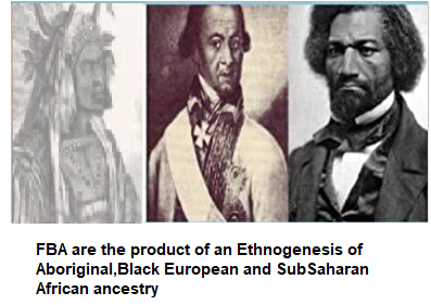 drclydewinters8's tweet photo. FBA is not a group. FBA is not an organization. FBA is a lineage. A lineage is: lineal descent from an ancestor; ancestry or pedigree. Through ethnogenesis we are descendants of the African and aboriginal Blacks &amp; Black Irish who built the United States.#FBAHist,#FBA, #BLACKHist https://t.co/38x2xqxYGl