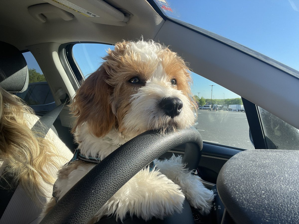 Hired a driver for the weekend. He’s cute but can’t really reach the gas and brakes. Wildwood, NJ here we come!